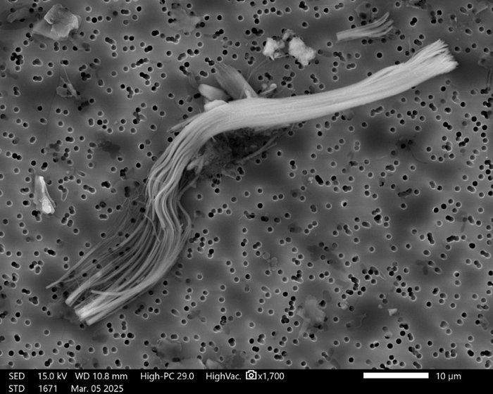 TS-PR-26031-IS-Asbest_Chrysotil Faser_2026.jpg